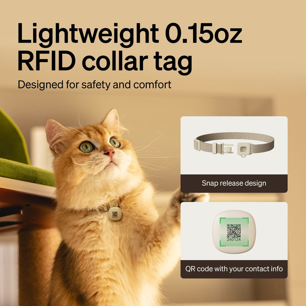 One RFID Smart Automatic Cat Feeder, 5G Wi-Fi Smart Pet Feeder with Collar Tag, 3L Auto Cat Food Dispenser with App Control, 1–10 Meals per Day, Bundle of 2