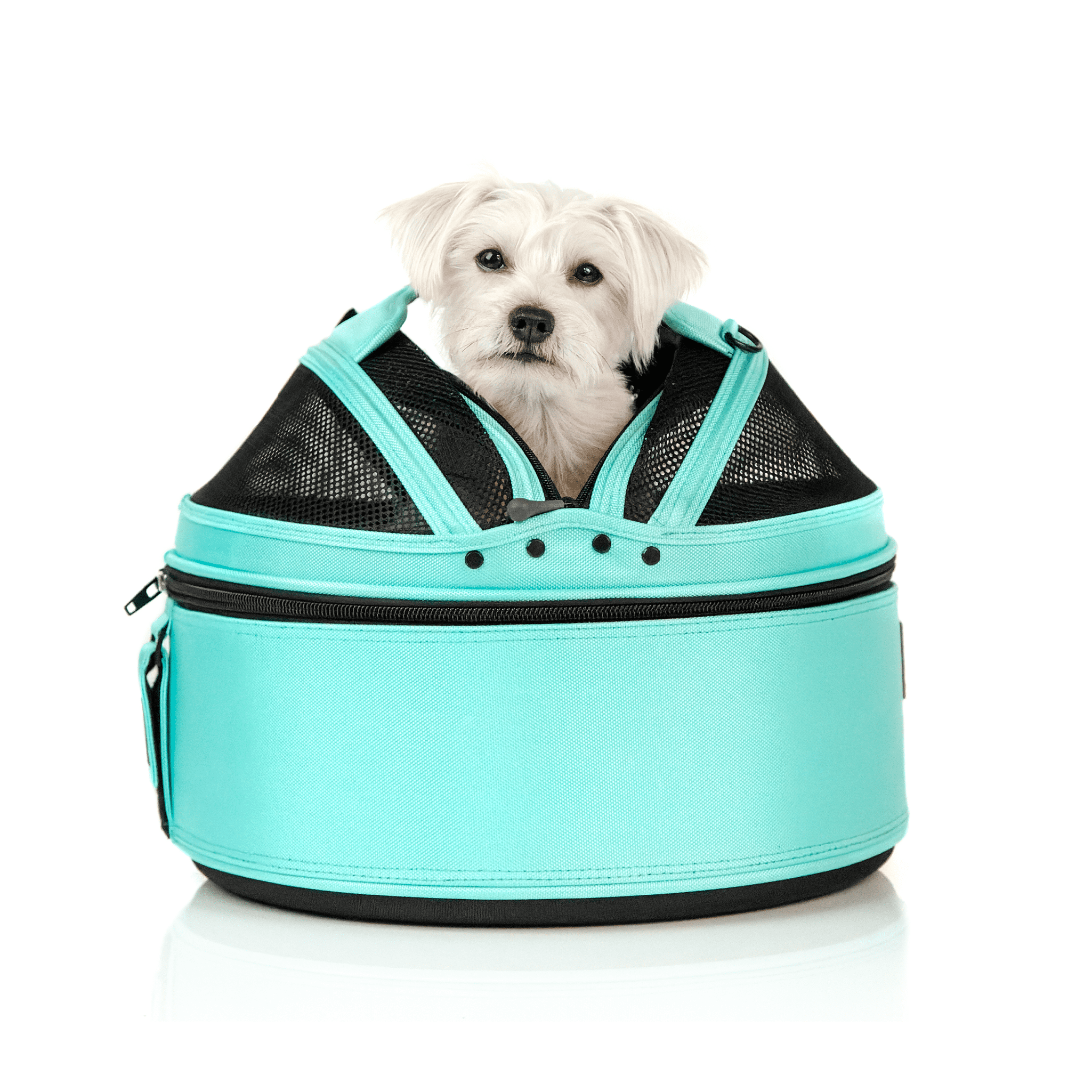 Mobile Pet Bed — Multi-use Travel Pet Bed, Crash-Tested Car Seat, &amp; Carrier for Dogs and Cats up to 15 Pounds (Strawberry Red)