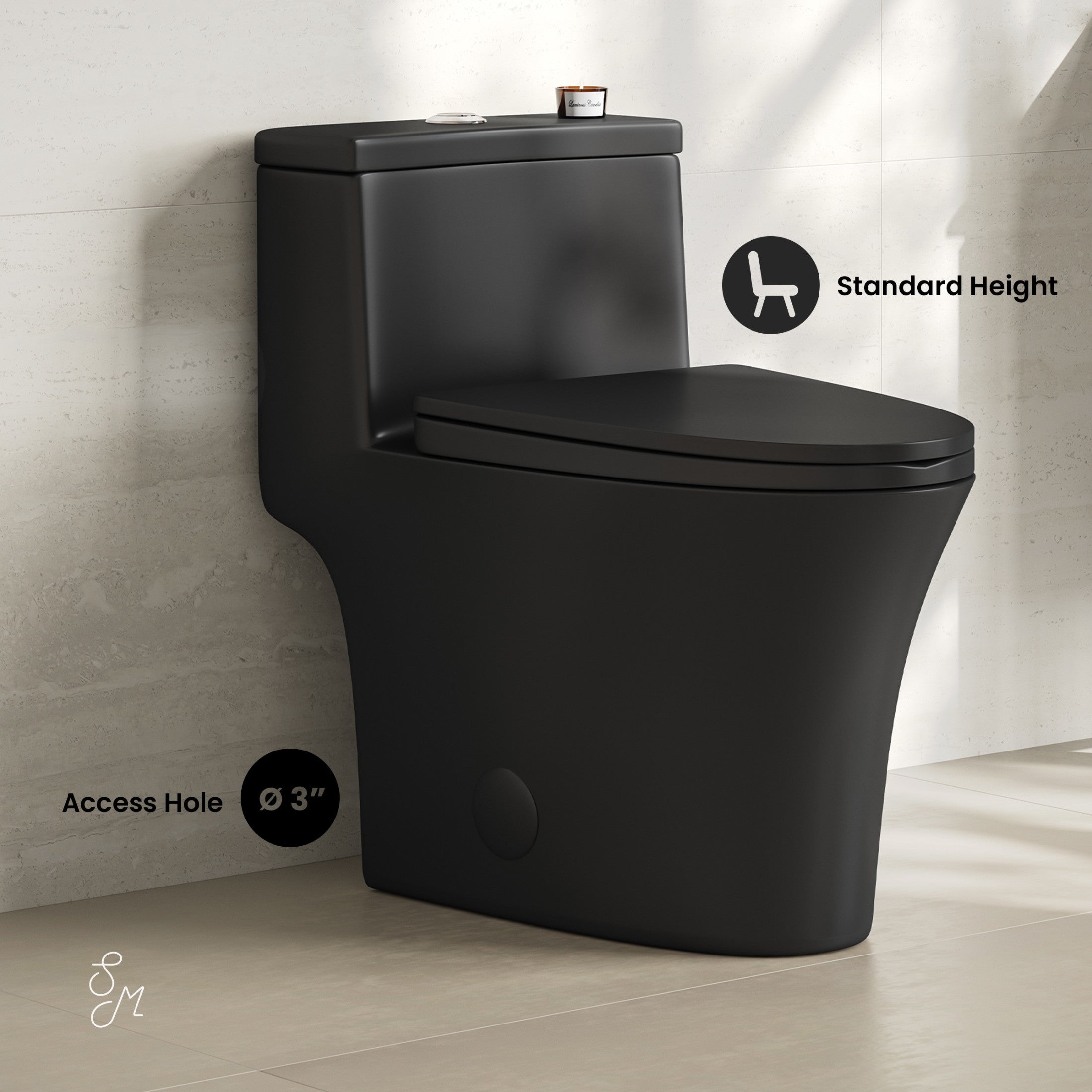 One-Piece 12" Rough-in 1.1/1.6 GPF Dual Top Flush Elongated Toilet in Matte Black