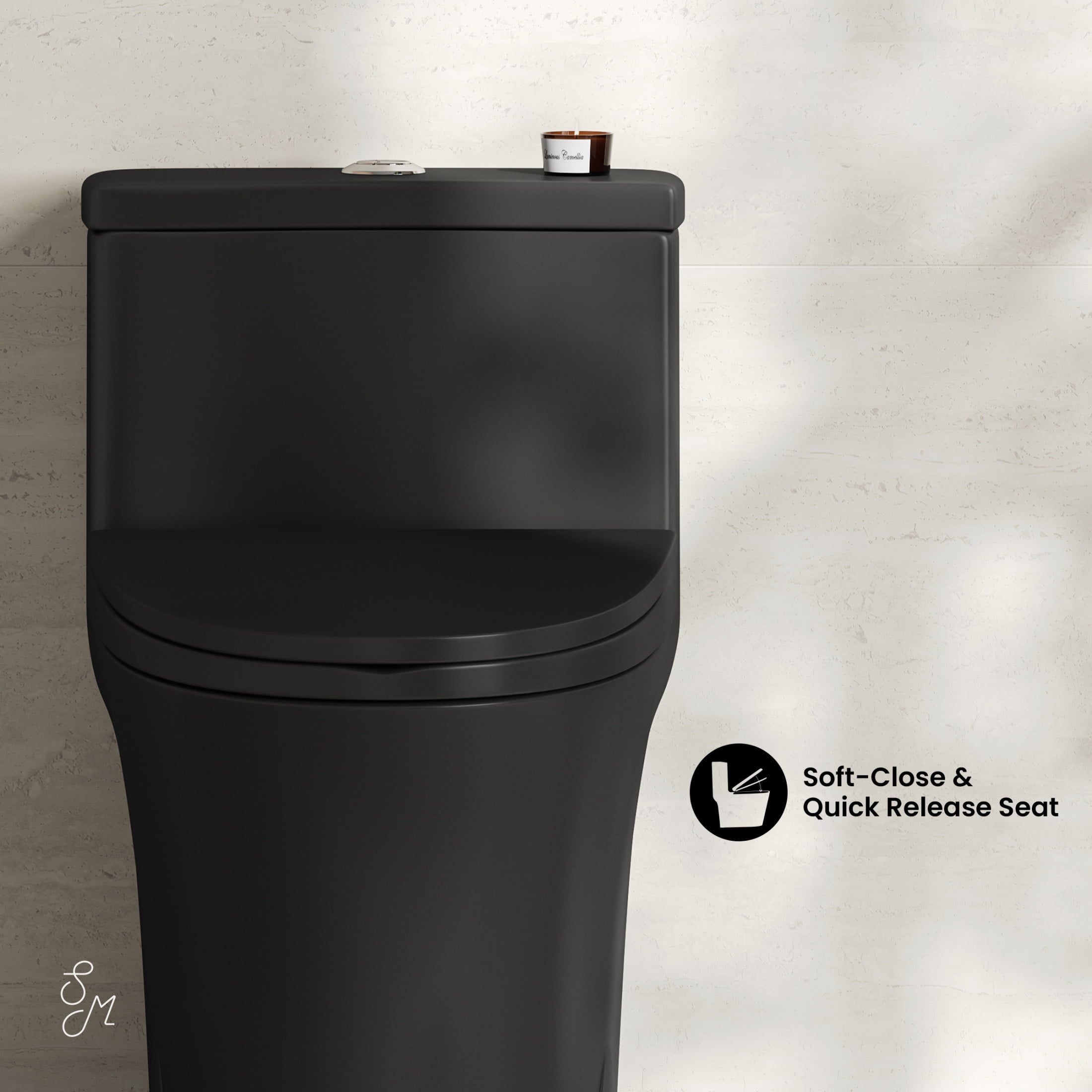 One-Piece 12" Rough-in 1.1/1.6 GPF Dual Top Flush Elongated Toilet in Matte Black