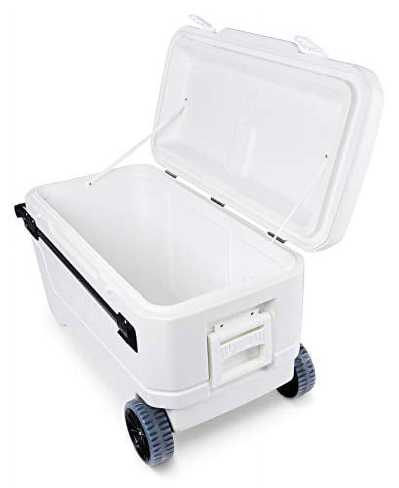 110 qt. Hard Sided, White