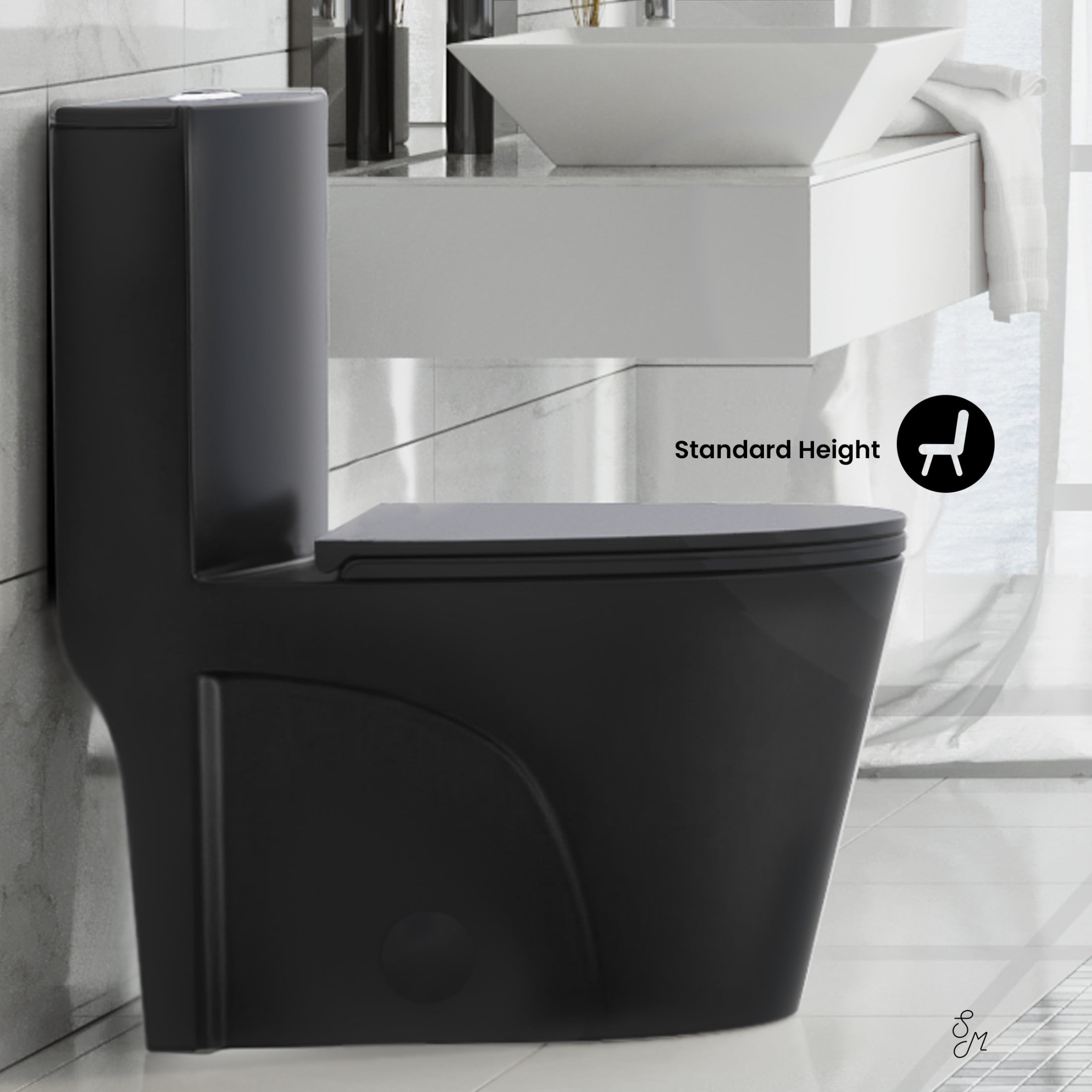 One Piece Elongated Toilet Dual Vortex Flush 1.1/1.6 gpf with 10" Rough-In, Matte Black