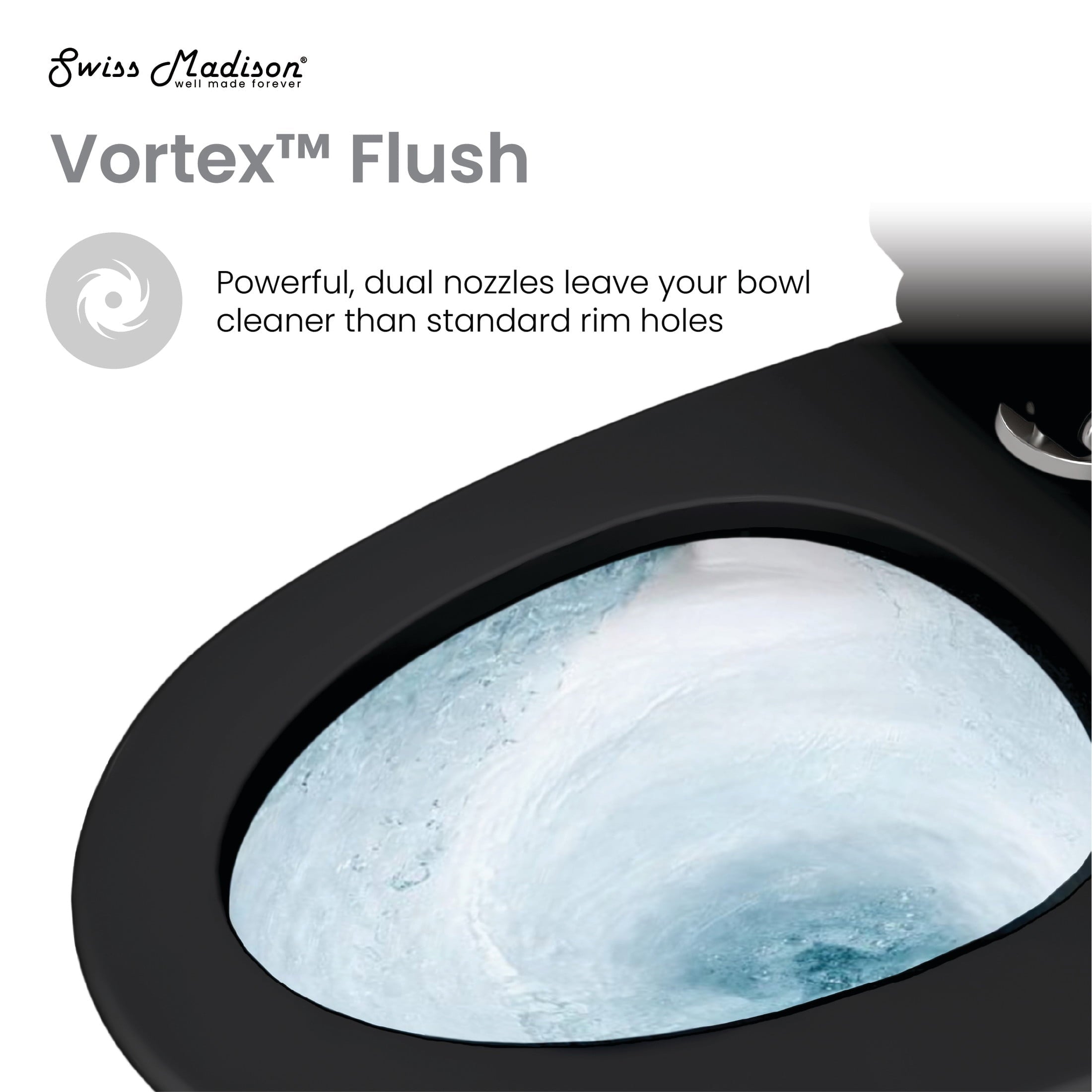 One Piece Elongated Toilet Dual Vortex Flush 1.1/1.6 gpf with 10" Rough-In, Matte Black