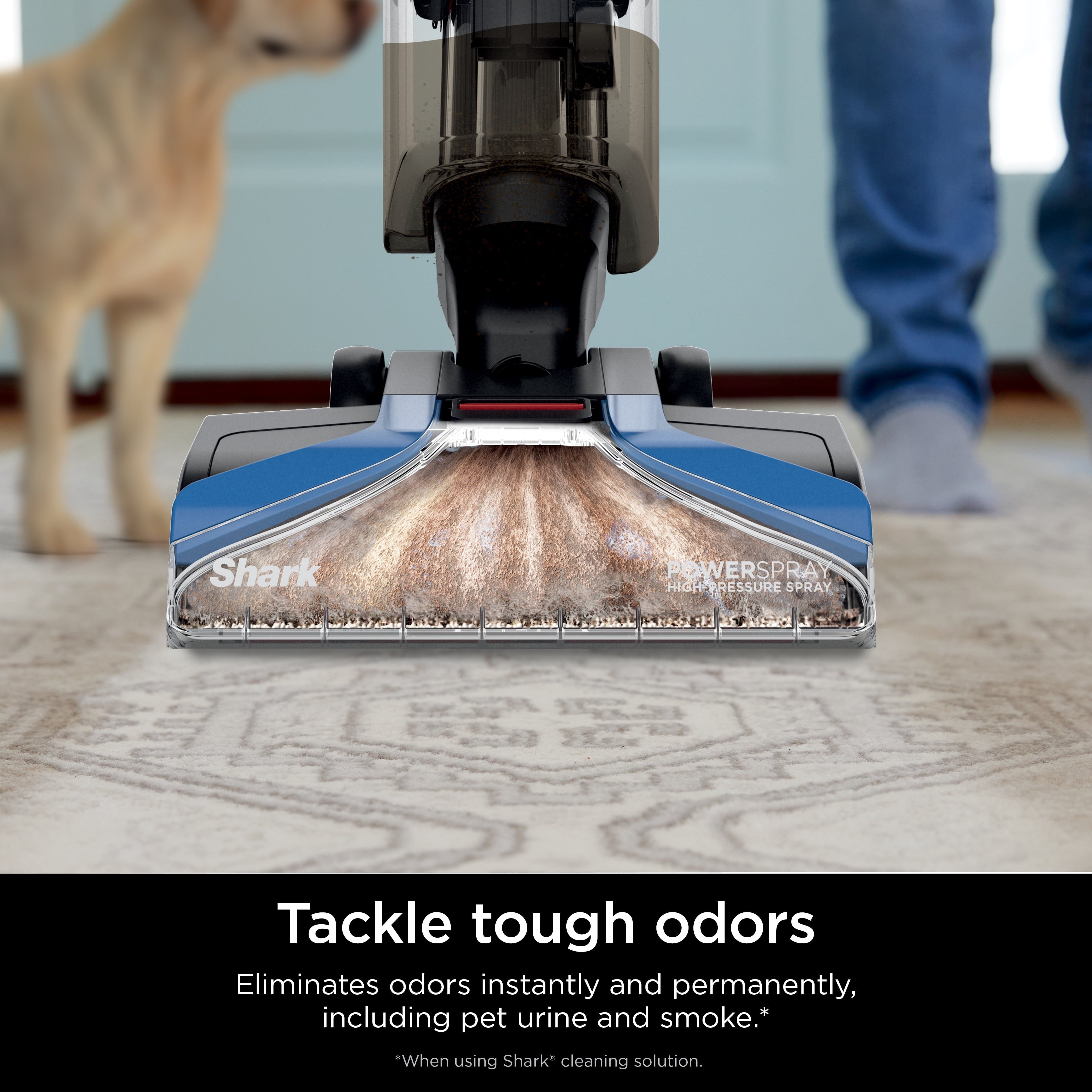 CarpetXpert Upright Carpet &amp; Area Rug Cleaner, Pet Friendly, Lightweight &amp; Powerful, Dirt &amp; Odor Removal, Carpet Shampooer, Cleaning Solution, EX120 Blue