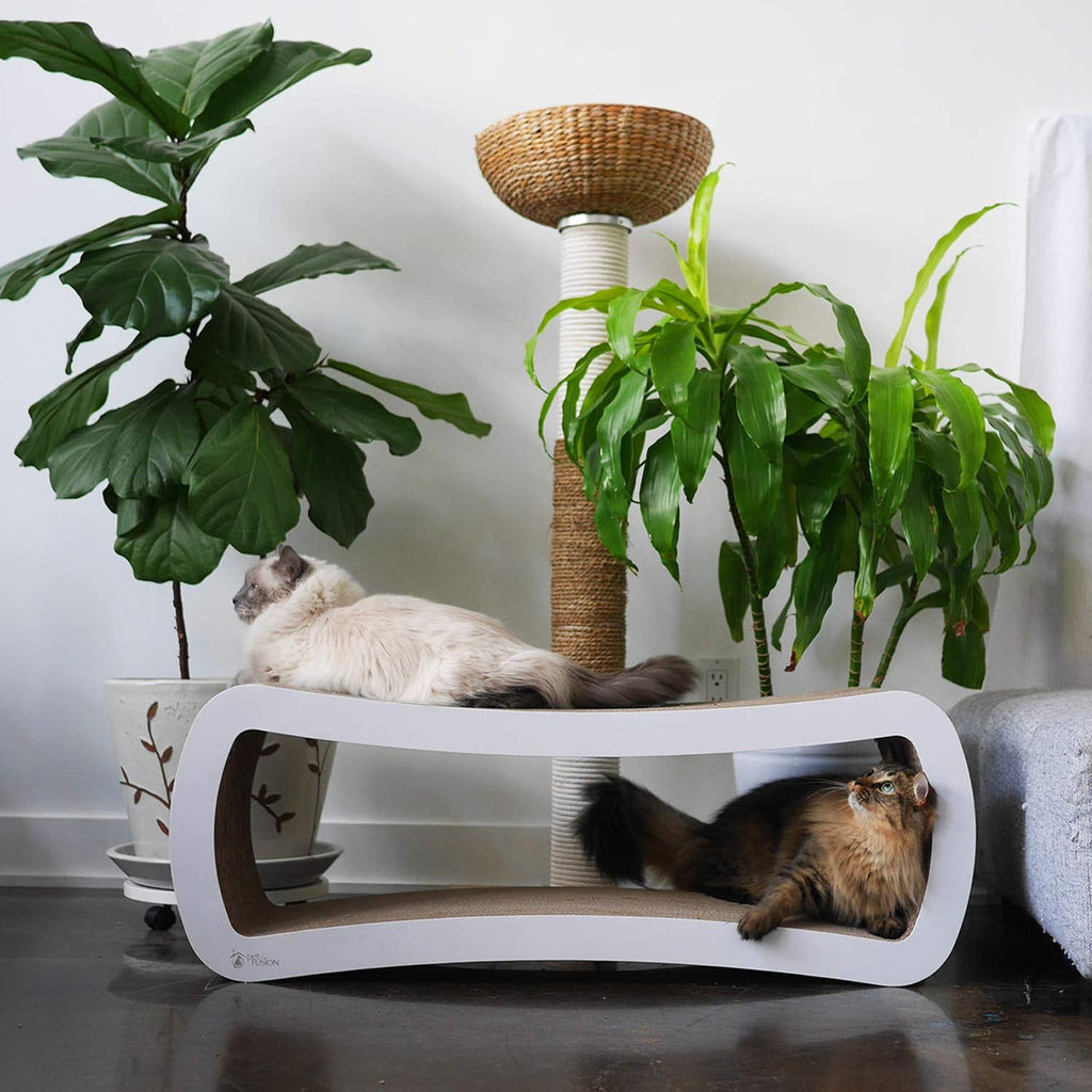 Jumbo 2 level Cat Scratcher Lounge Scratch, Play, Perch, and Hide Pet Furniture, 39" x 11" x 14", White