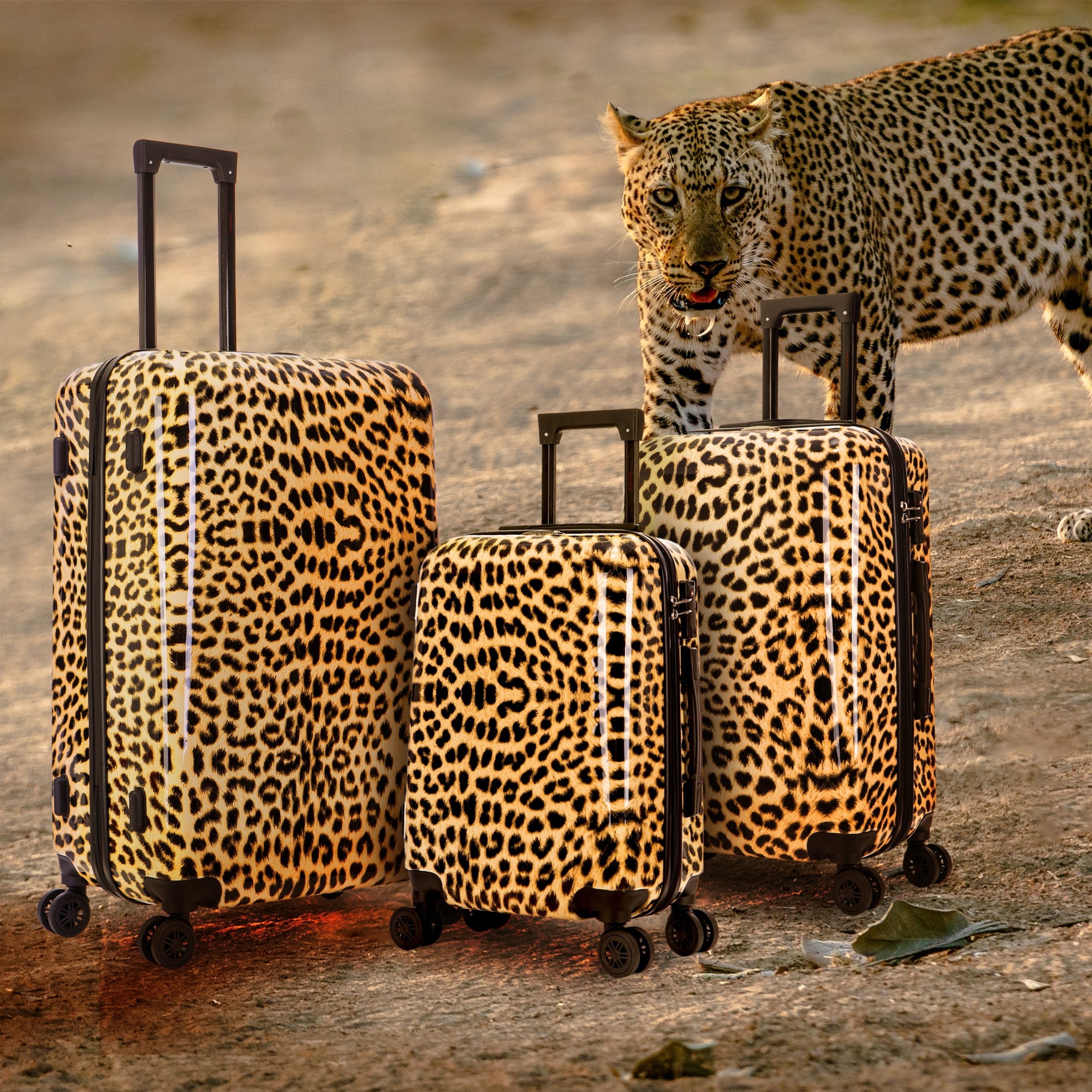 Print 3-Piece Hardside Luggage Sets with Spinner Wheels, Handle, Trolley, (20"/24"/28"), Cheetah