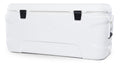 120 qt. 5-Day Marine Ice Chest Cooler, White