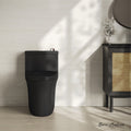 One-Piece 12" Rough-in 1.1/1.6 GPF Dual Top Flush Elongated Toilet in Matte Black